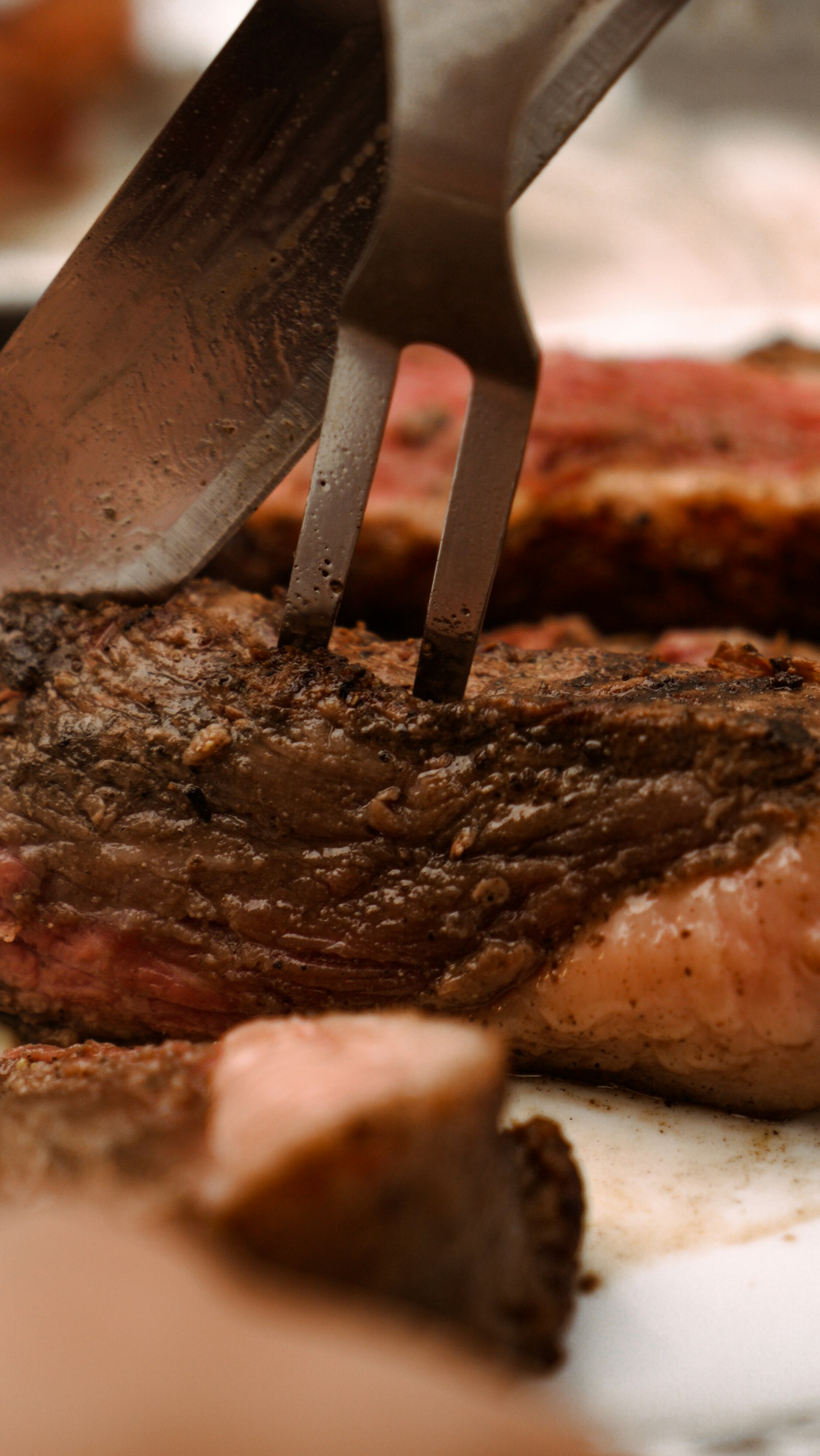 ¿Qué carne es más saludable? La importancia de la alimentación en la calidad de las grasas