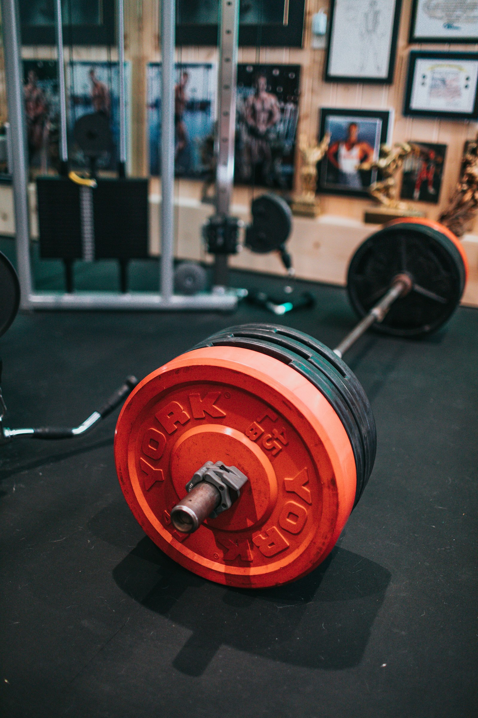 Balancing strength and cardio: the key to optimal health