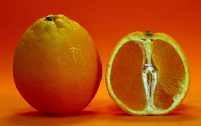 Desvelando los secretos de la Vitamina C: Un escudo para nuestra salud