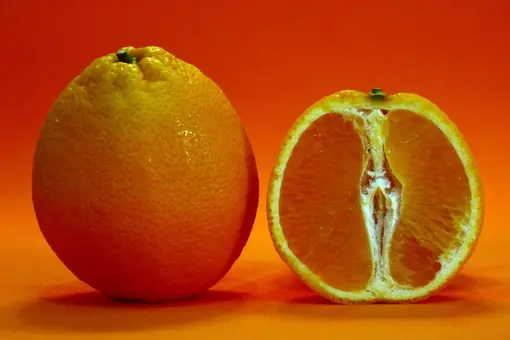 Desvelando los secretos de la Vitamina C: Un escudo para nuestra salud